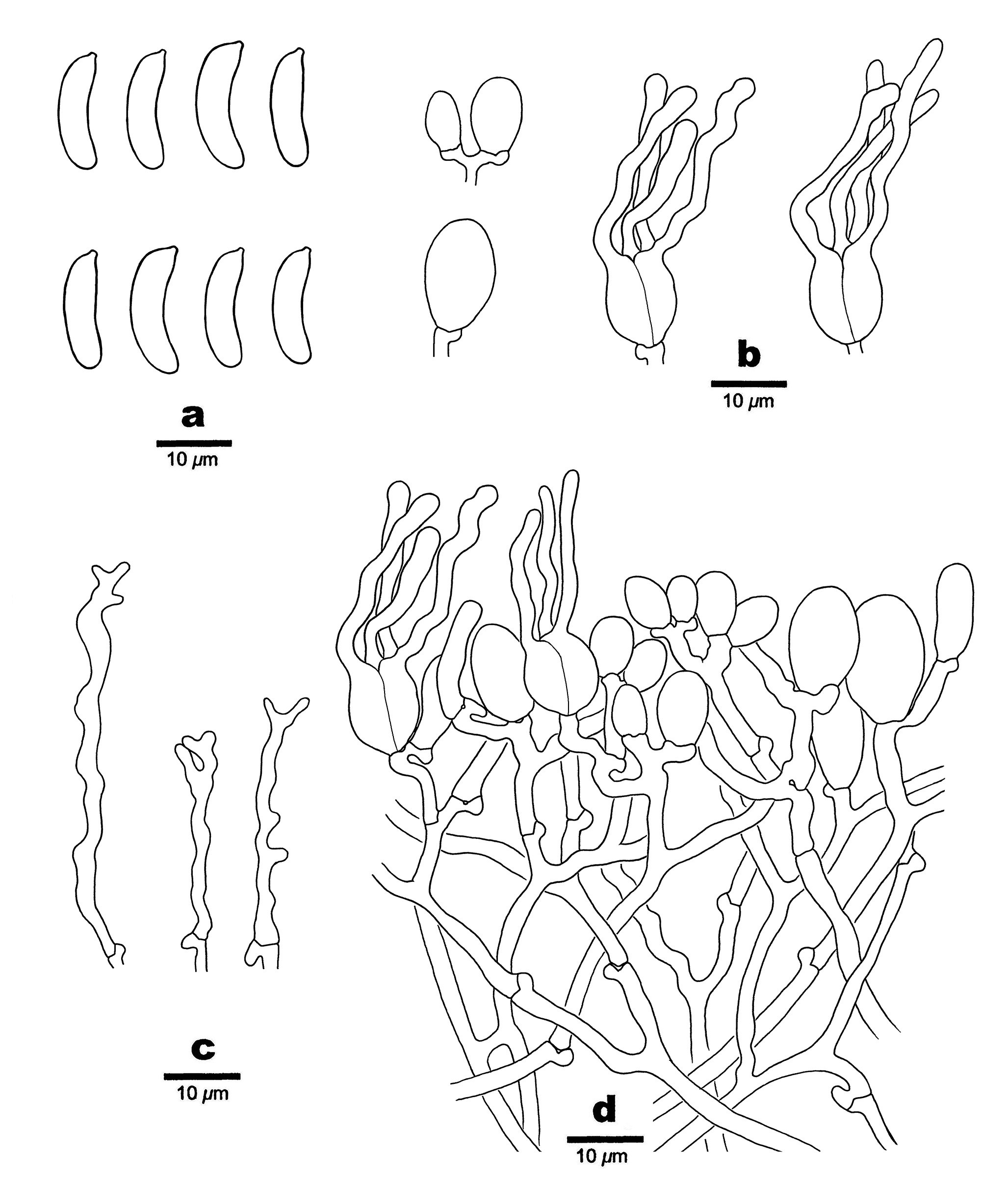Figure 29